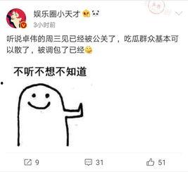 卓伟爆料小视频,小视频揭露娱乐圈惊人内幕 第3张 卓伟爆料小视频,小视频揭露娱乐圈惊人内幕 第3张