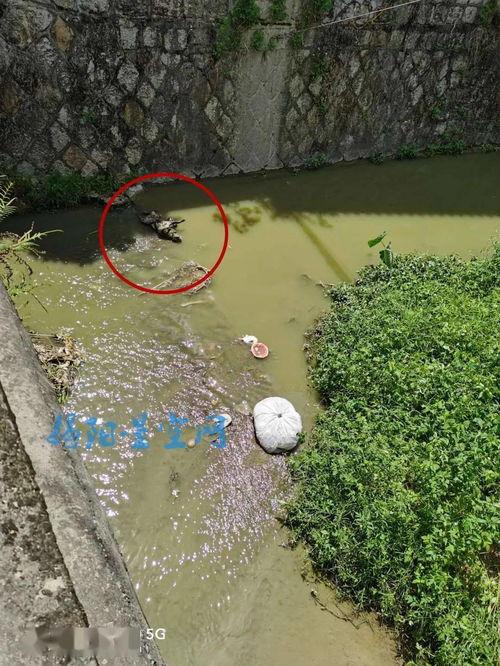 云路村爆料视频,乡村发展新动向 第2张 云路村爆料视频,乡村发展新动向 第2张