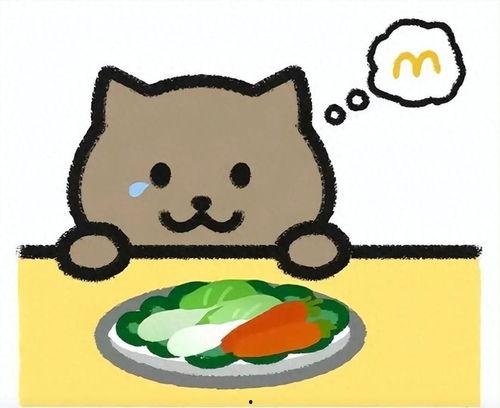 胖猫姐姐直播爆料最新,娱乐圈最新动态大曝光！  第3张