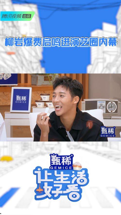 娱乐圈内幕爆料柳岩,揭秘明星背后的真相 第2张 娱乐圈内幕爆料柳岩,揭秘明星背后的真相 第2张