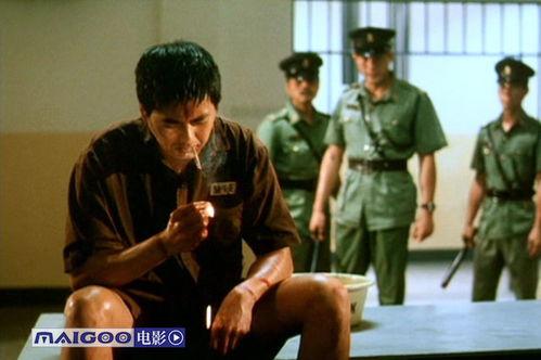 监狱抽烟爆料视频,揭秘禁烟令下的真实困境